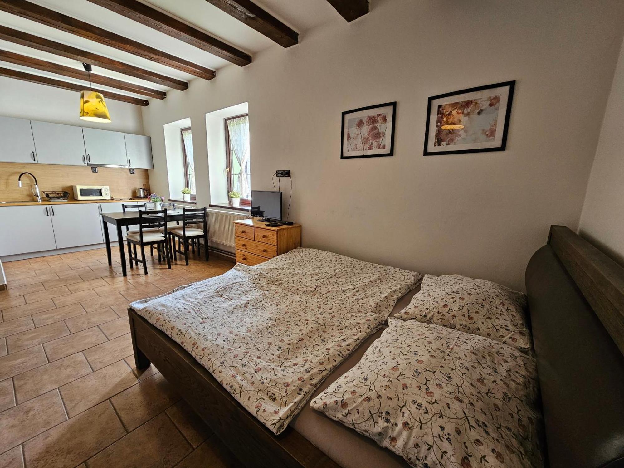 Apartmanove Ubytovani V Koutech Loucna nad Desnou Exterior photo