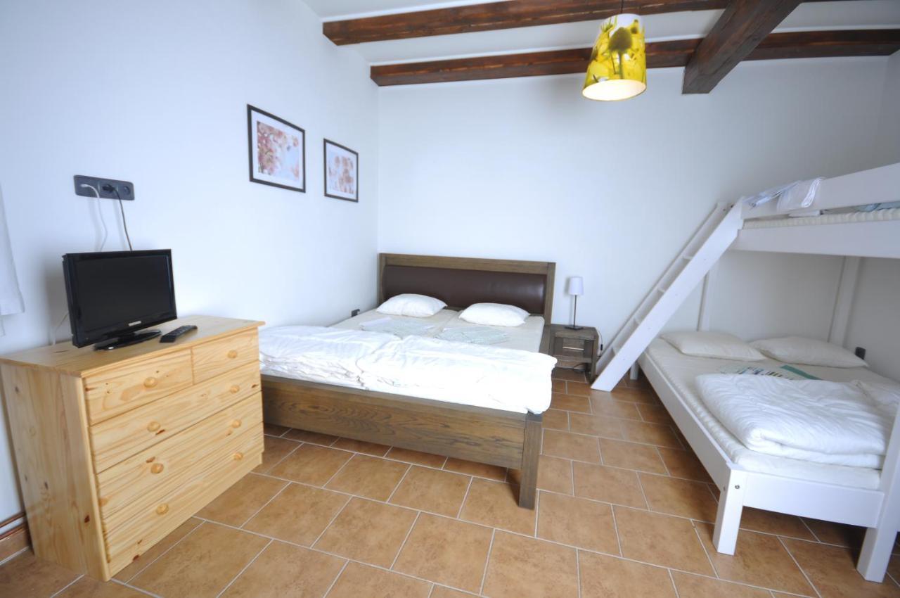 Apartmanove Ubytovani V Koutech Loucna nad Desnou Room photo