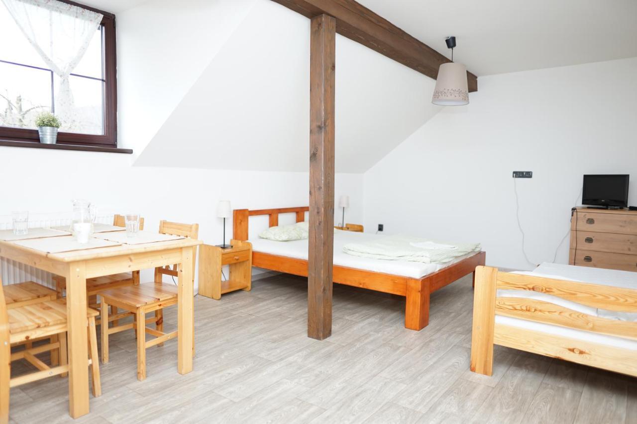 Apartmanove Ubytovani V Koutech Loucna nad Desnou Exterior photo